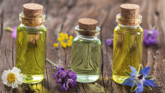 The Ultimate Guide to Choosing the Best Diffuser Oils for Your Home
